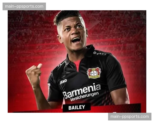 德甲联盟发布上座率与球场安保新规执行情况中期报告